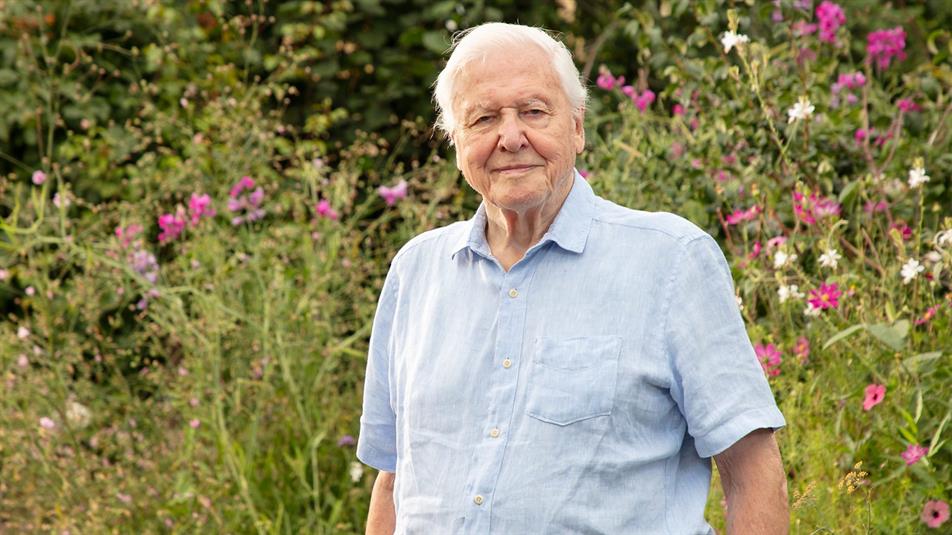 Sir David Attenborough: Plimsoll Productions
